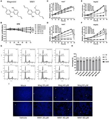 2-O-Methylmagnolol, a Magnolol Derivative, Suppresses Hepatocellular Carcinoma Progression via Inhibiting Class I Histone Deacetylase Expression